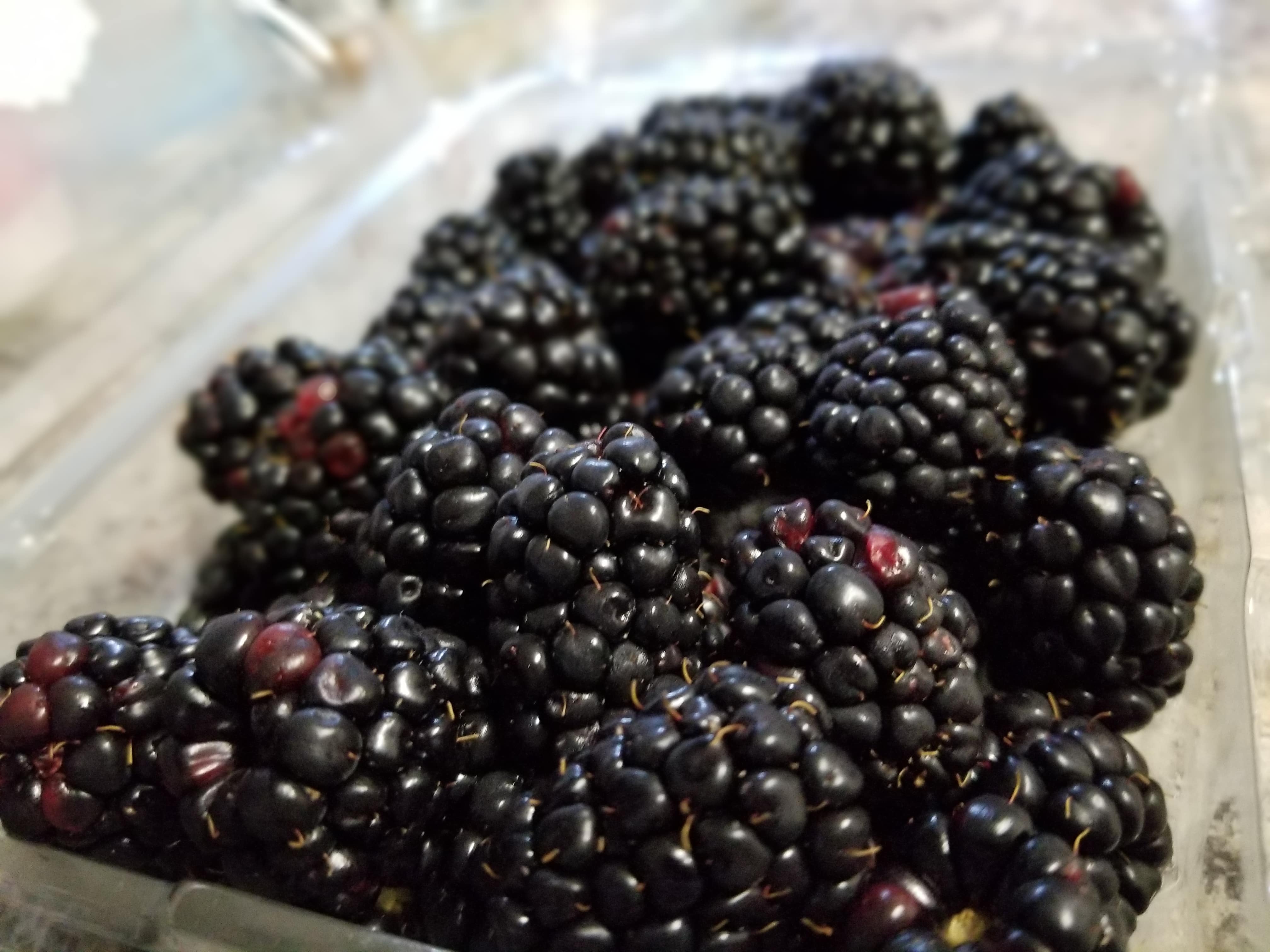 Blackberries